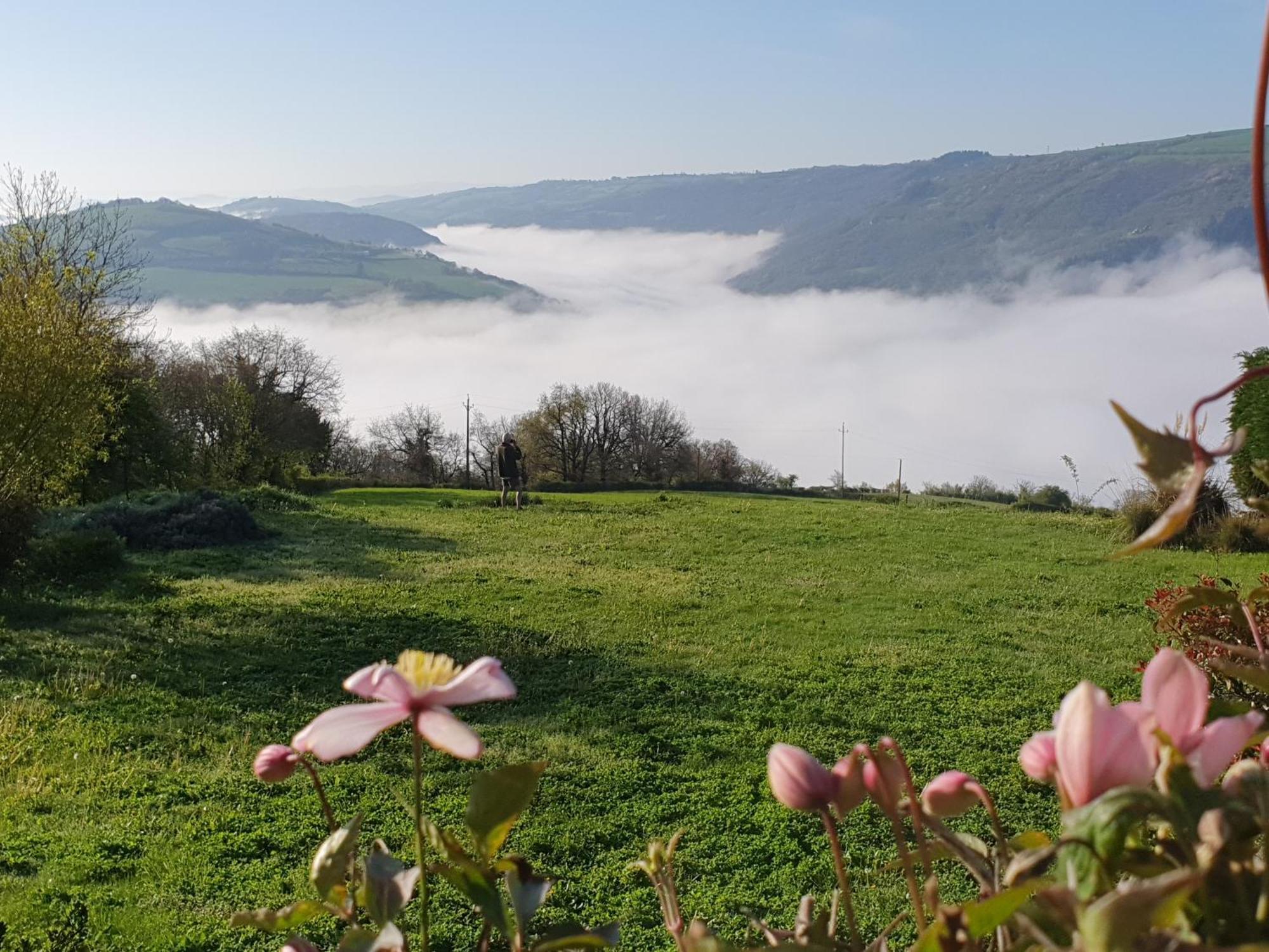 La Colline Du Chat Perche Connac Exterior foto