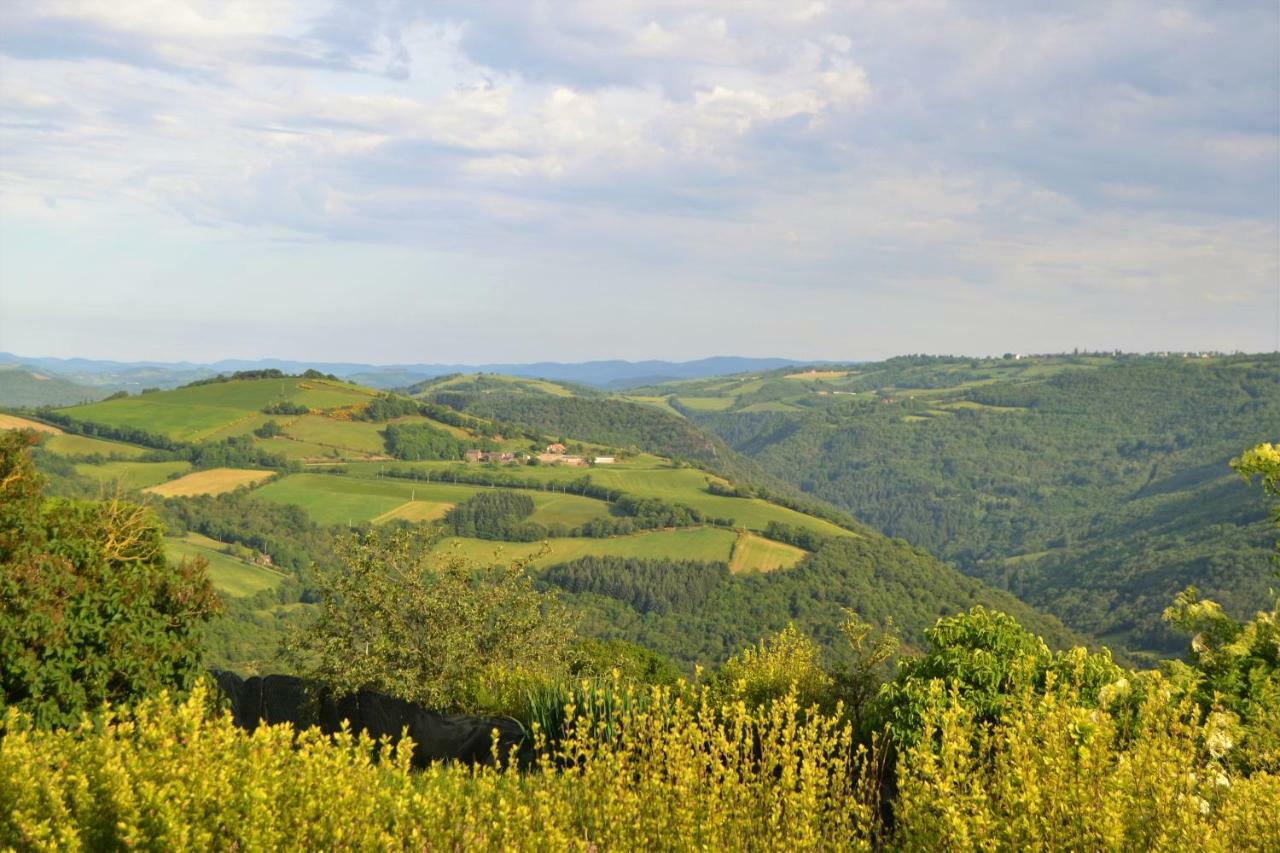 La Colline Du Chat Perche Connac Exterior foto